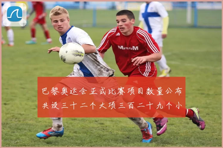 巴黎奥运会正式比赛项目数量公布共设三十二个大项三百二十九个小项