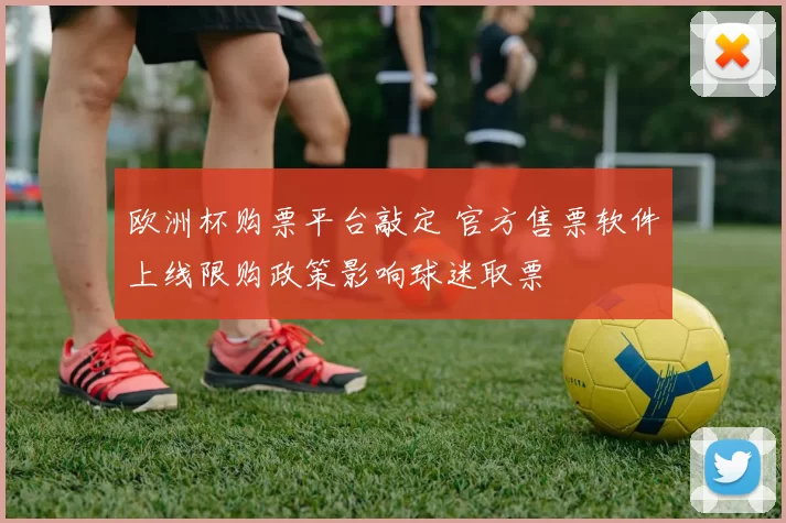欧洲杯购票平台敲定 官方售票软件上线限购政策影响球迷取票